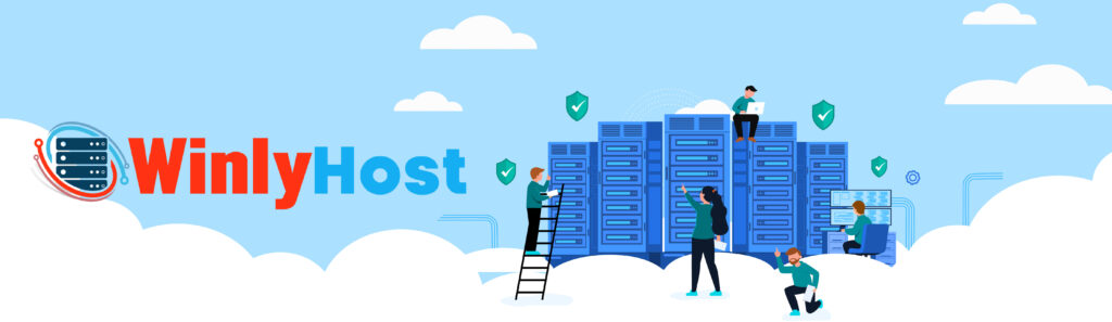DDoS Protection for Hosting Solutions, Dedicated Server, Winlyhost,