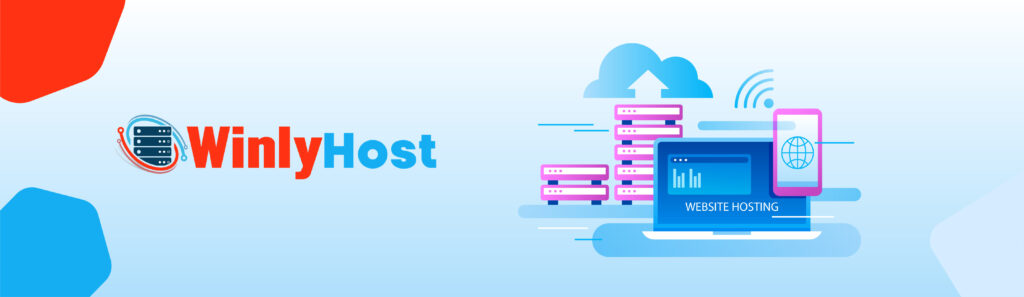 CDN vs. Hosting, CDN, Hosting, winlyhost,