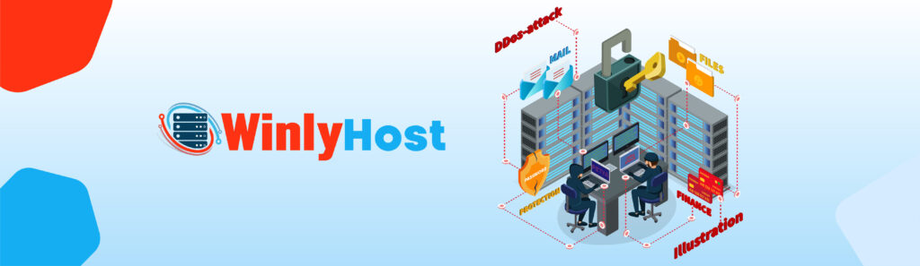 DDoS Protection, DDoS attack prevention, website security, winlyhost